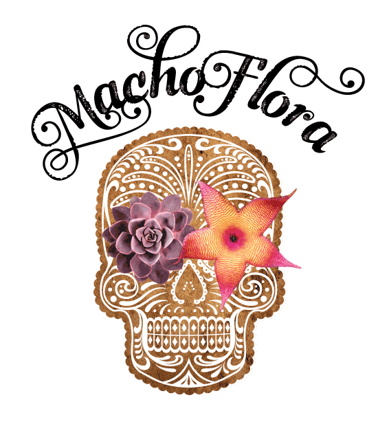 MF22-Logo_Trans_Default_550x617 Macho Flora Logo